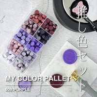 【MY COLOR PALLET】609：PURPLE【10色セット】