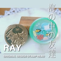 【STAMP】740：RAY【スタンプヘッド】