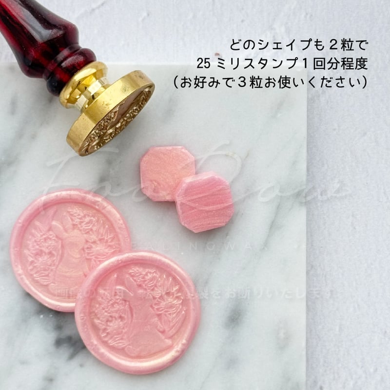 TOOL】WAX MOLD 2P【USEFUL TOOLS】【ケース入り2枚組】 | シーリ