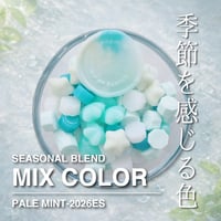 【PILL】PALE MINT【季節限定】【35ｇ】【2026ESS】