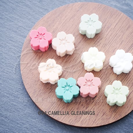 【PILL】SAKURA PALLET【WAX PALLET】【10色入】 【オンラインストア限定】