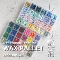 【PILL】MAT & SMOOTH PILL 24【WAX PALLET】【24色入】 【オンラインストア限定】