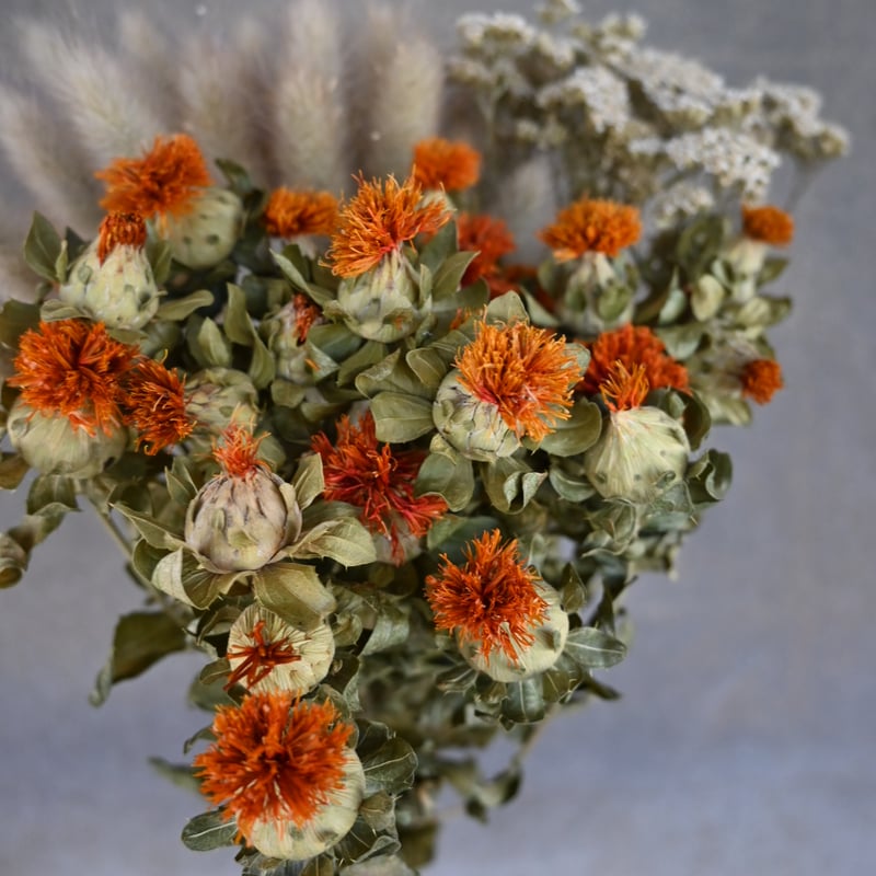 ドライフラワーアソート〜ユーカリ添え〜 | 石原園芸 Ishihara Nursery