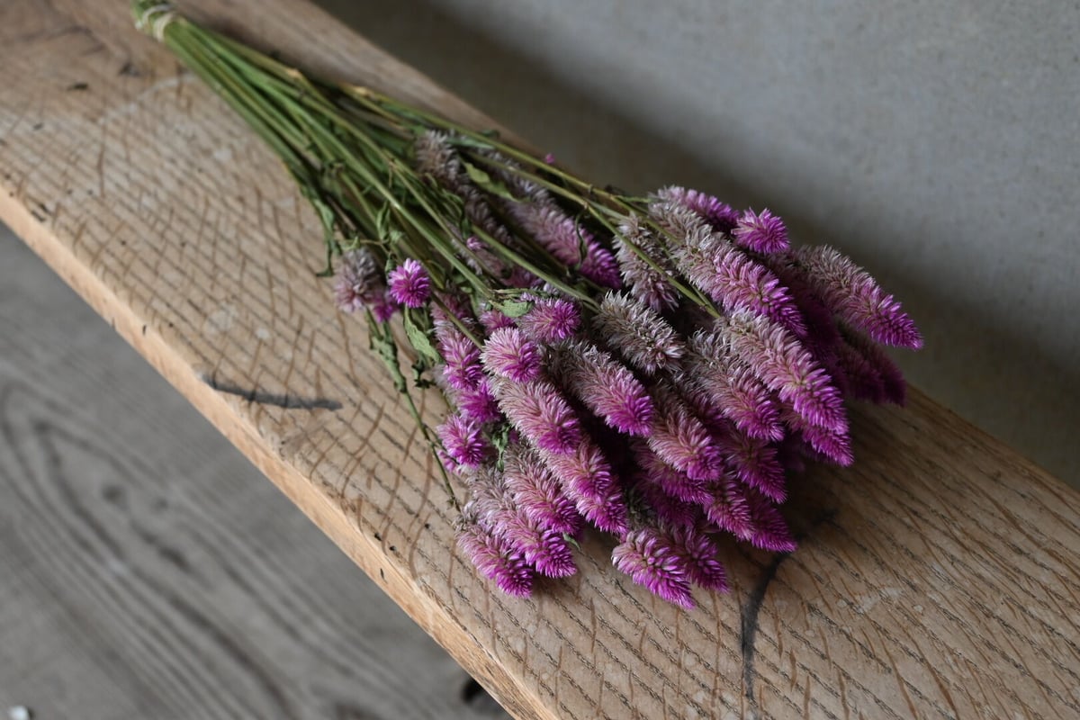 ドライフラワー　パフェ＊レッド fit=scale-down,w=1200