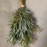 石原園芸　Ishihara Nursery