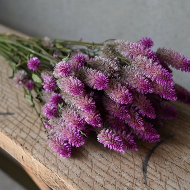 ドライフラワー パフェ＊レッド あり | .⁡ ⁡. Lecoin ル・コワン