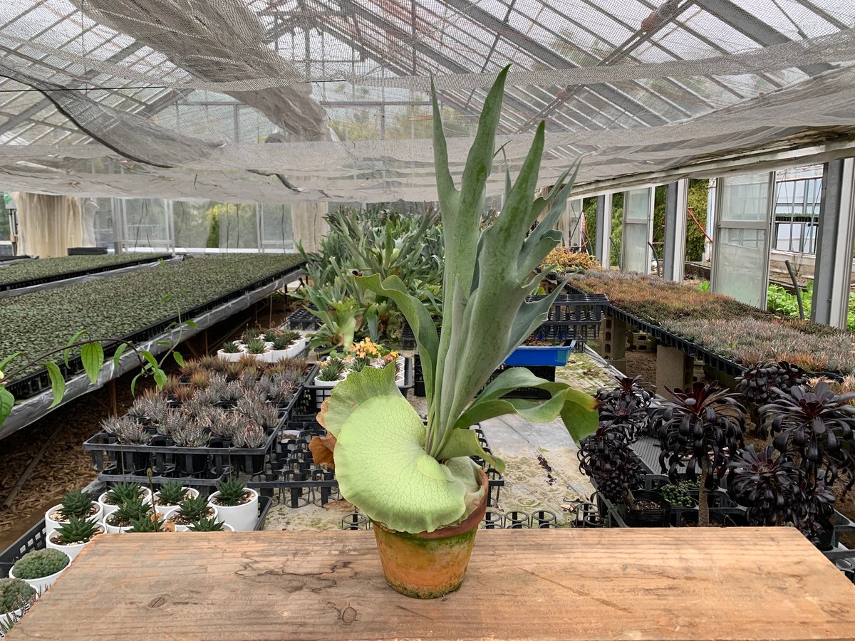 fit=scale-down,w=1200