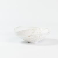oval tubu