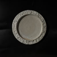 stone rim sara shiro L