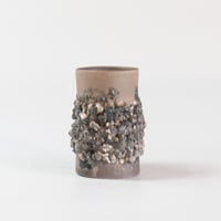 stone 01 炭化