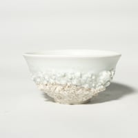 stone donburi shiro