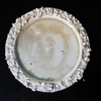 stone rim sara M