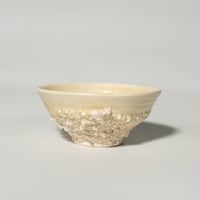 stone meshi kiiro