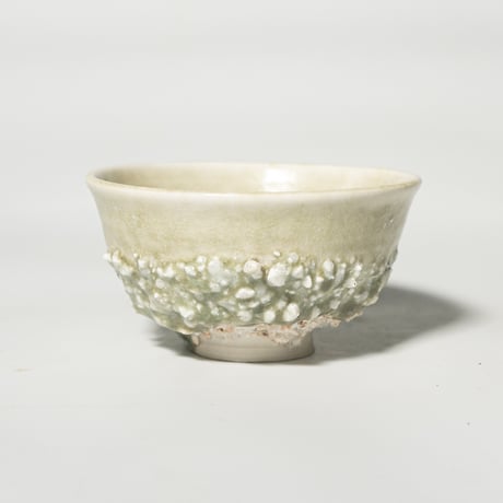 stone donburi hai