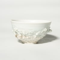 stone donburi shiro