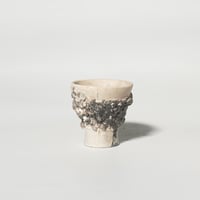 stone ochoco sumi