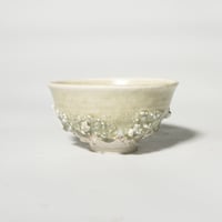 stone donburi hai