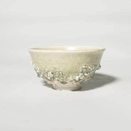 stone donburi hai