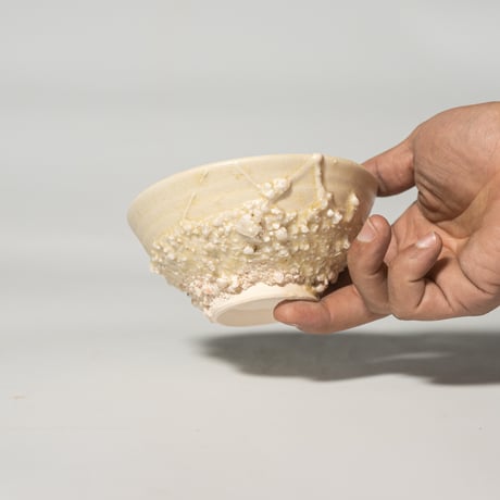 stone meshi kiiro