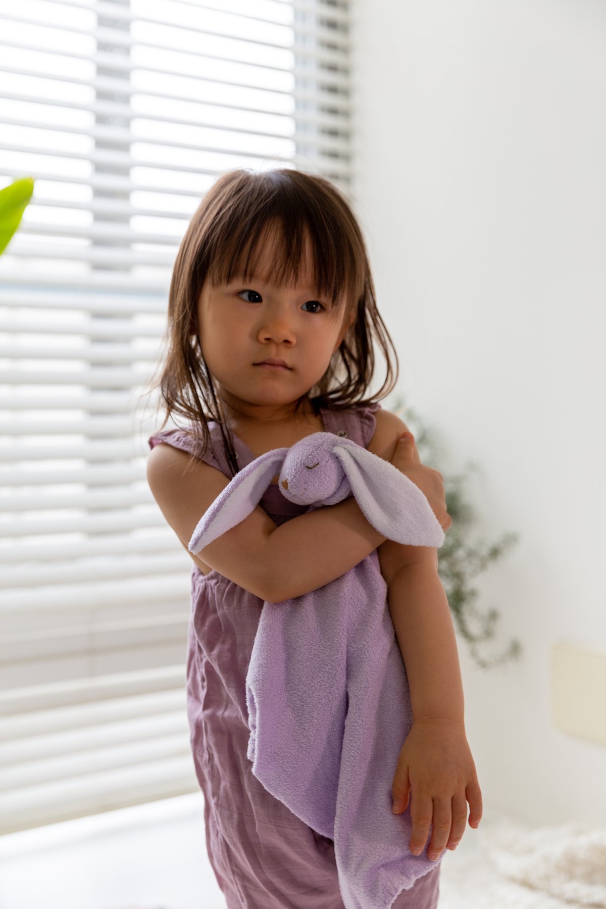 ブランキー単品 》Lavender Bunny Blankie ラベンダーバニー 紫色 1