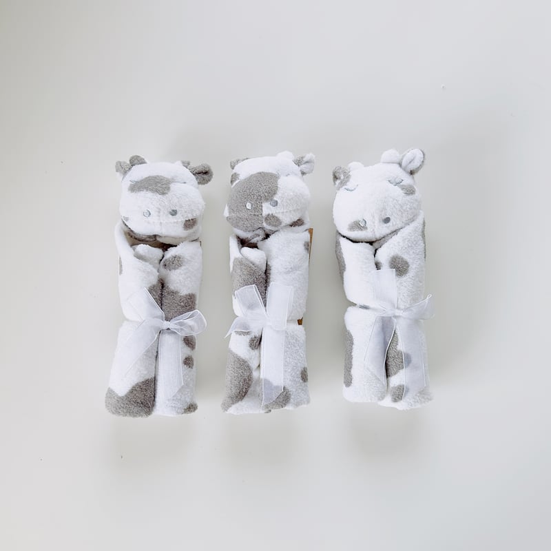 ブランキー X 3点 SET》Cow x Cow x Cow 牛さん3匹 箱入りセット |