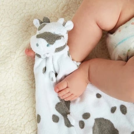 《ブランキー X 3点 SET》Cow x Cow x Cow 牛さん3匹 箱入りセット
