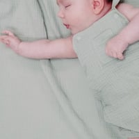 《スワドル単品》Solid Desert Green Muslin Swaddle Blanket オーガニック モスリンコットン素材 Fサイズ 緑色 無地 157-S25-SMDG