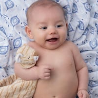 《ブランキー単品 》Tiger Blankie  タイガー 薄茶色 1108