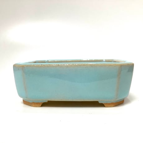 豆盆栽鉢屋 うさぎ庵