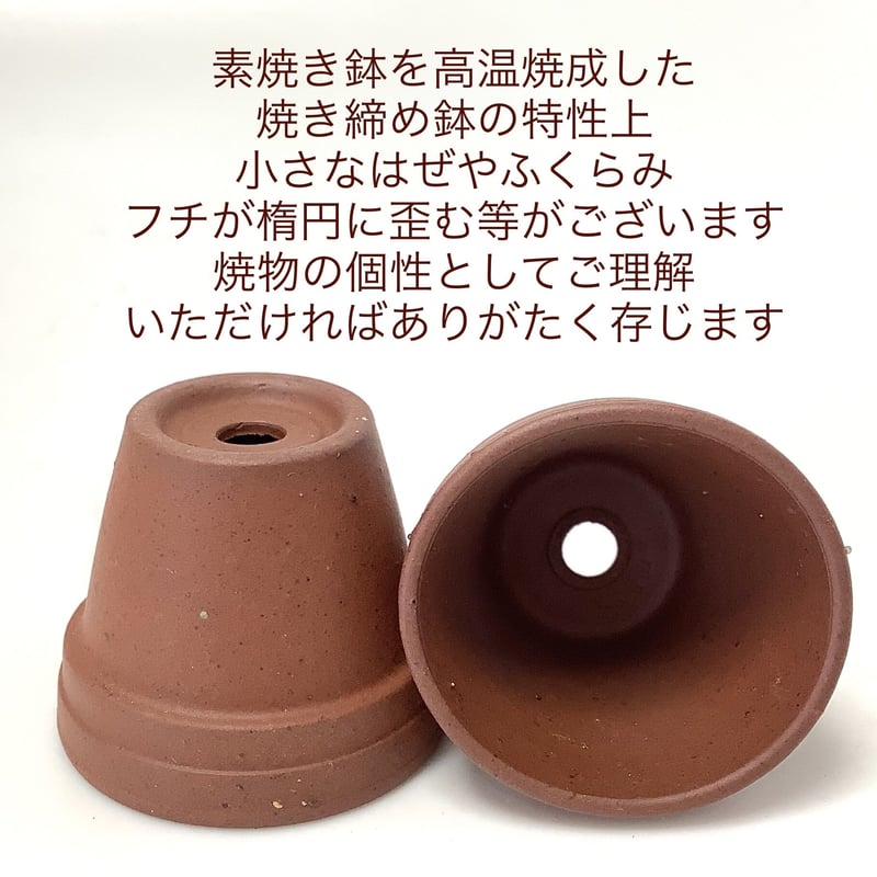 【駄温鉢　12号】①盆栽鉢　植木鉢　約50年前　素焼き　落款　洗浄済 駄温鉢 12号】①盆栽鉢 植木鉢 約50年前 素焼き 落款 洗浄