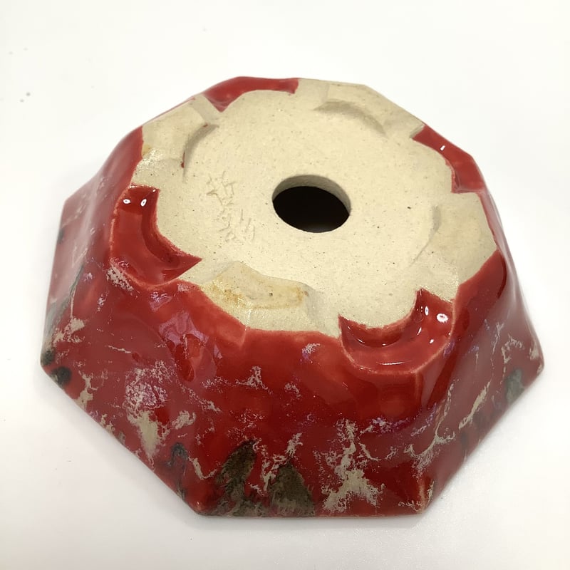 横山哲彩造230705A珊瑚釉窯変八角鉢 | 豆盆栽鉢屋 うさぎ庵