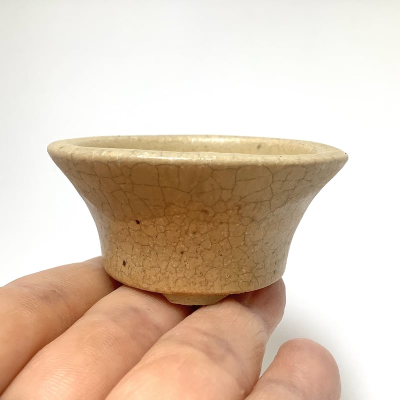 678.景仙 白貫入釉丸鉢 盆栽鉢 植木鉢 11*6cm 678.景仙 白貫入釉丸鉢 盆栽鉢 植木鉢 11*6cm 678.景