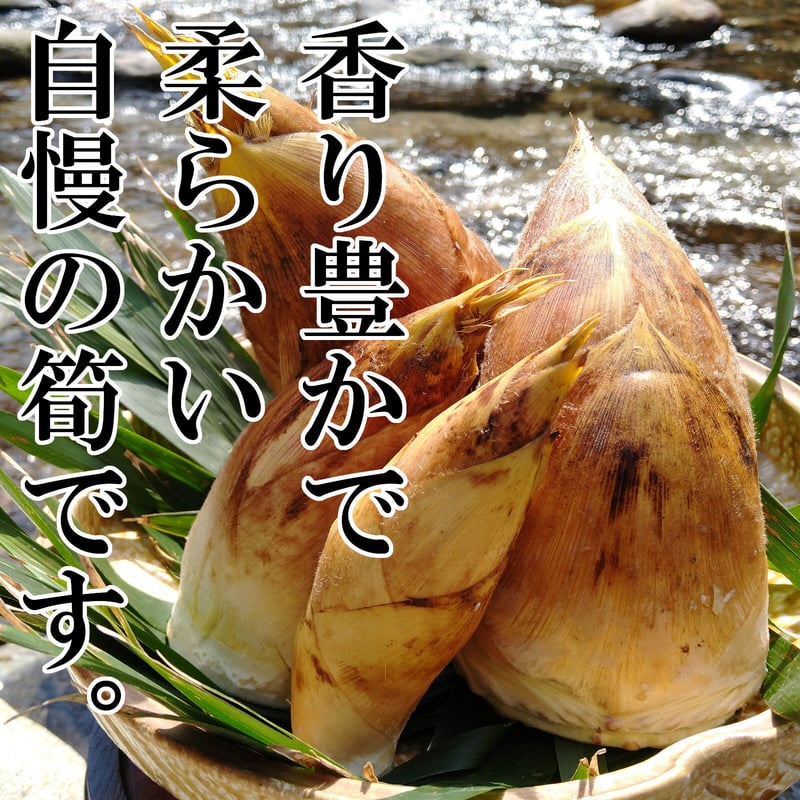 博多飯場たけのこ 食べるラー油たけのこ × 3袋セット | さわらの