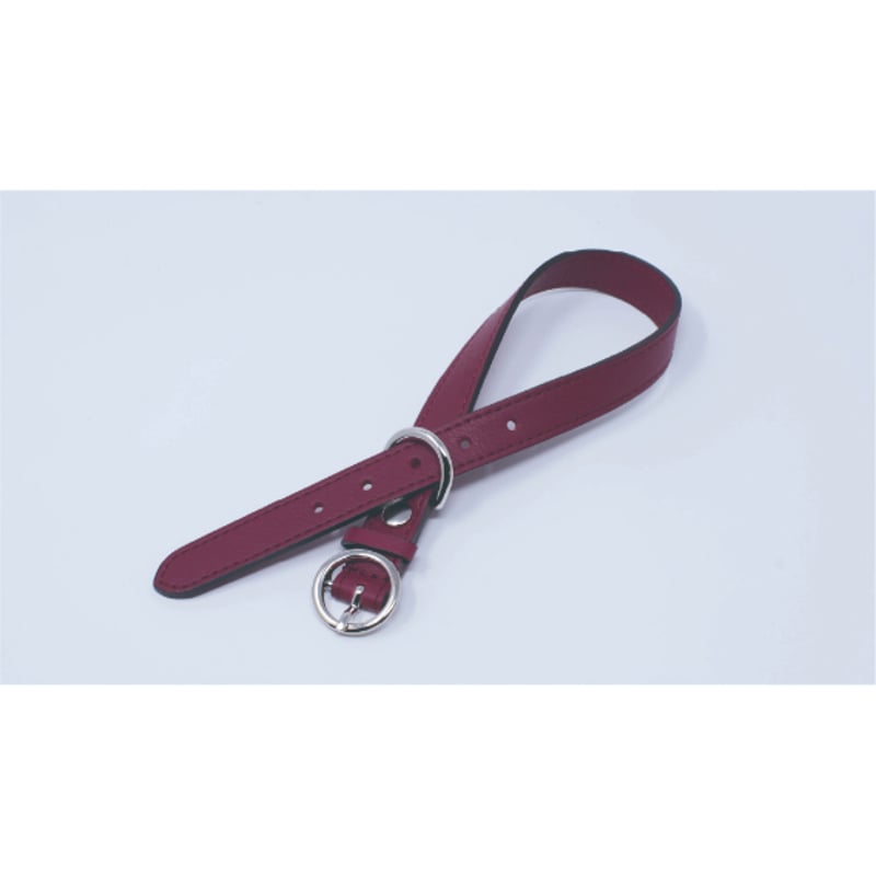 Collar｜首輪／サイズ：XXS］a-cube Hi-LINE SMOOTH | a-cu