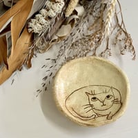 平野照子　猫まめざら　sa011185