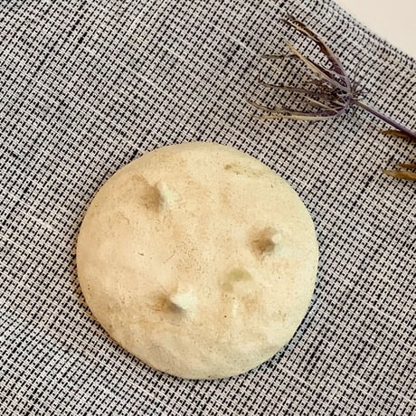 日々まめざら　カメラ