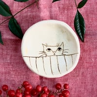 ねこまめざら　sa001249