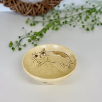猫まる小鉢　so011035