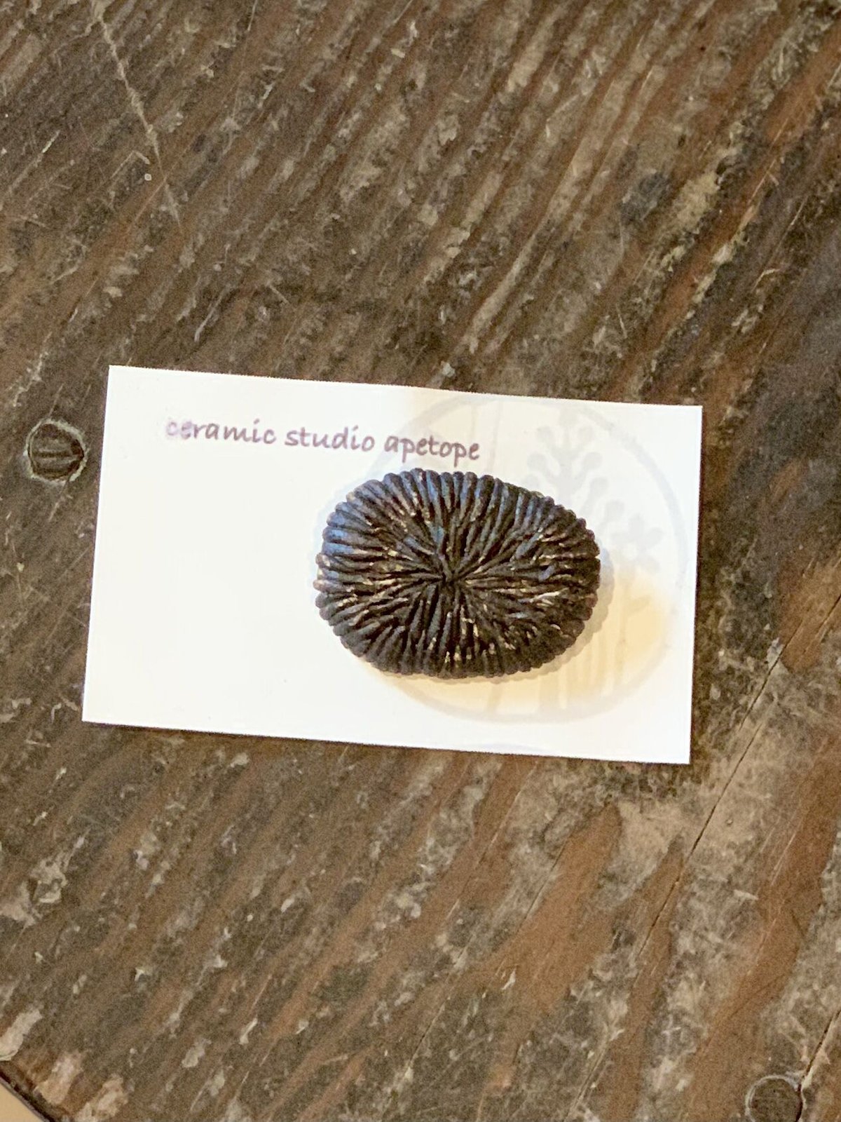 陶器ブローチ string黒 7 ac001002 | kusafune's STORE