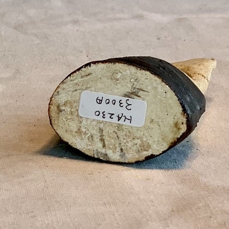 平野照子　猫花入れ　ha230