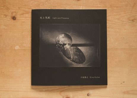 影向寺 小池汪写真集 Kagekoji Temple Koike Akira 影向寺 小池汪写真集 Kagekoji Temple Koike Akira