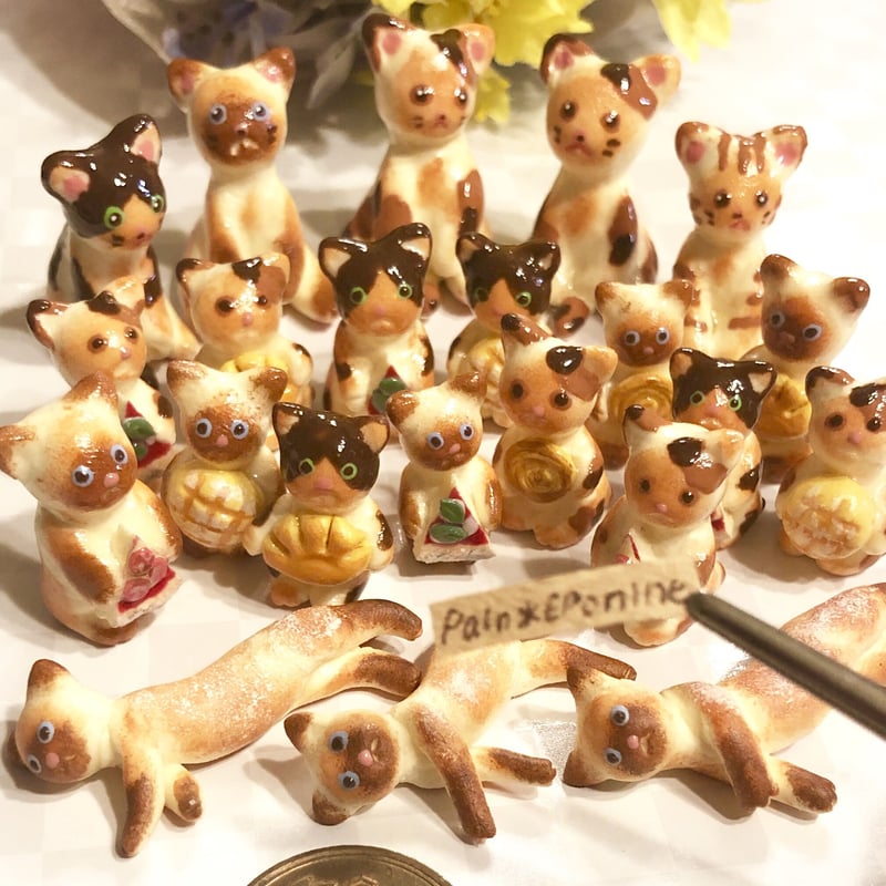 受注制作】食いしん坊な仔猫パン：シャム(クリームパン) | Pain＊Eponine