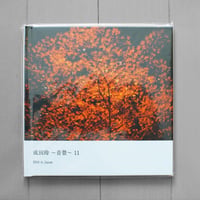 写真集 『成田玲～音景11～ 2016 in Japan』