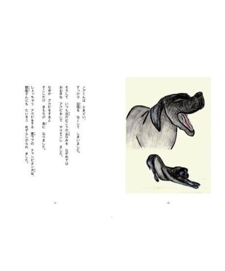 NEW! ミニ絵本『ムーンフォレストのなかまたち１～黒犬ノア、リュウくんにたすけられるの巻』（手製本・函入・ミニ栞付）