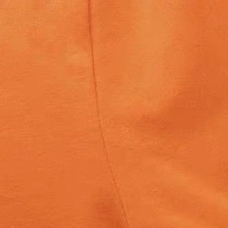 Slayin’ Orange Top