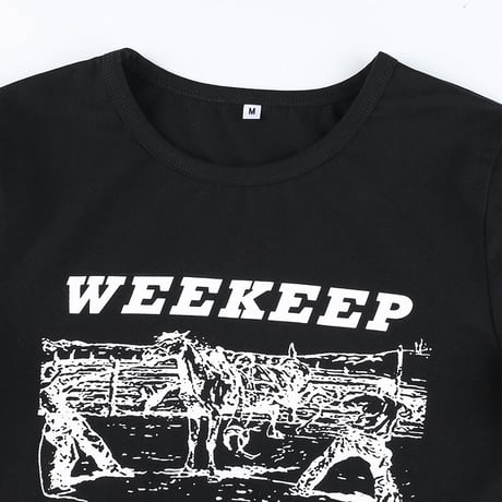 2色 Graphic Cropped  Tee