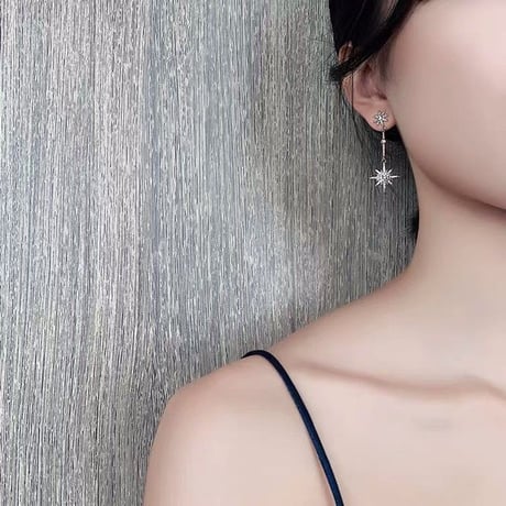 Star イヤーピアス ジュエリー