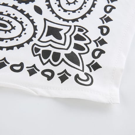 2色 Paisley Top