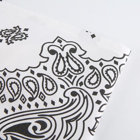 2色 Paisley Top