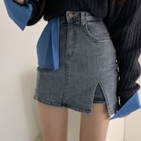 Denim Skirt Pants